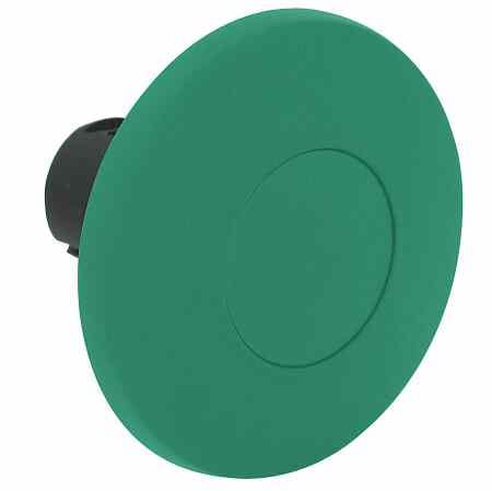 Allen-Bradley - 22mm Momentary Push Button 800