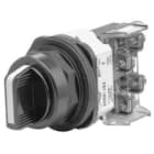 Allen-Bradley - 30mm Selector Switch 800H PB