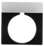 Allen-Bradley - 30mm 800H JOG White Legend Pla
