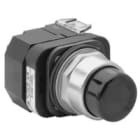 Allen-Bradley - 30mm Pilot Light 800T PB