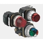 Allen-Bradley - 30mm 800T O I Legend Plate