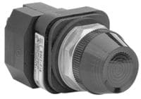 Allen-Bradley - 30mm Pilot Light 800H PB