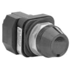 Allen-Bradley - 30mm Pilot Light 800H PB