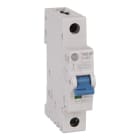 Allen-Bradley - Mcb Supplementary Protector 16