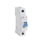 Allen-Bradley - MCB Supplementary Protector 8