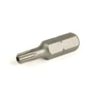 Guardmaster - Pilot Light Clear R/ment Bulb