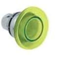 Allen-Bradley - 22mm Momentary Push Button 800