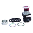 Allen-Bradley - 30mm Push-Pull Device 800T PB