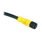Allen-Bradley - 889 DC Micro Cable