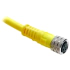 Allen-Bradley - 889 Pico Cable