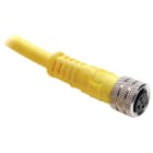 Allen-Bradley - 889 Pico Cable