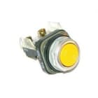 Allen-Bradley - 30mm Momentary Push Button 800