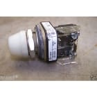 Allen-Bradley - 30mm Pilot Light 800T PB