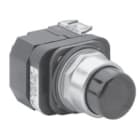 Allen-Bradley - 30mm Pilot Light 800T PB