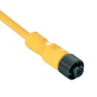 Allen-Bradley - 889 DC Micro Cable