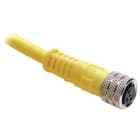 Allen-Bradley - 889 Pico Cable