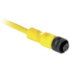 Allen-Bradley - 889 AC Micro Cable