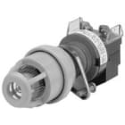 Allen-Bradley - 30mm Momentary Push Button 800