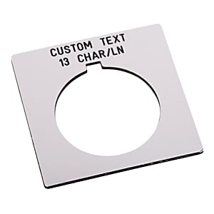 Allen-Bradley - 30mm 800H White Custom Text Le