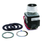 Allen-Bradley - 30mm Pilot Light 800T PB