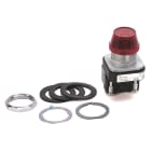 Allen-Bradley - 30mm Pilot Light 800T PB