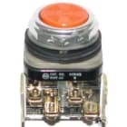 Allen-Bradley - 30mm Momentary Push Button 800
