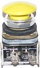 Allen-Bradley - 30mm Momentary Push Button 800