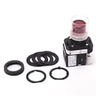 Allen-Bradley - 30mm Momentary Push Button 800