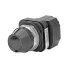 Allen-Bradley - 30mm Pilot Light 800T PB